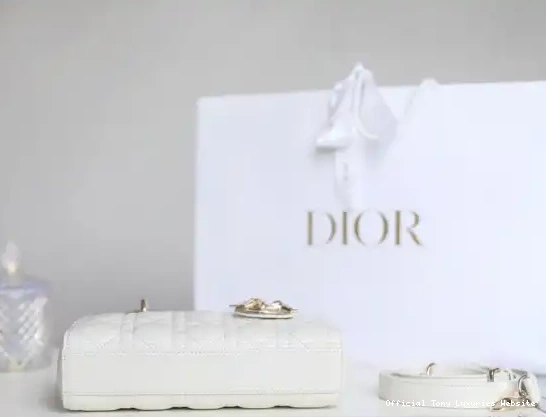 Tony Luxuries BAG diro LADY D-JOY 0507